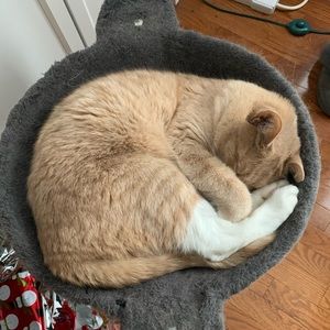 Meet your Posher, Jason